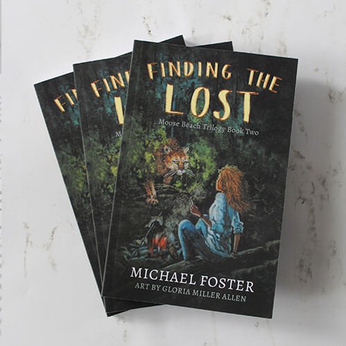 finding-the-lost-cover