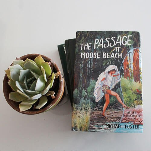 passage-at-moose-beach-cover